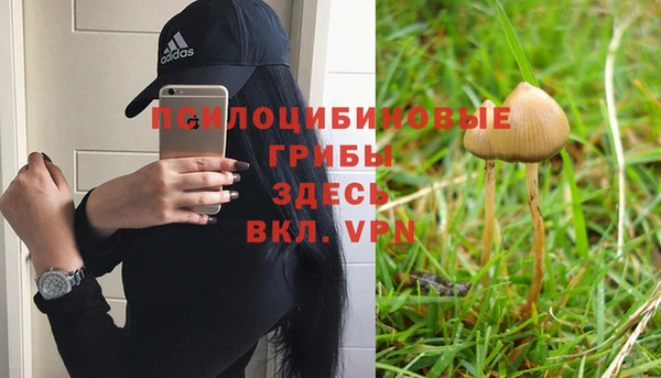 гидропоника Беломорск