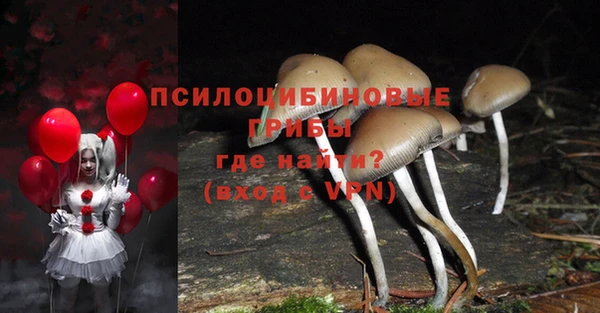гидропоника Беломорск
